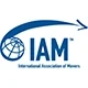 Logo IAM