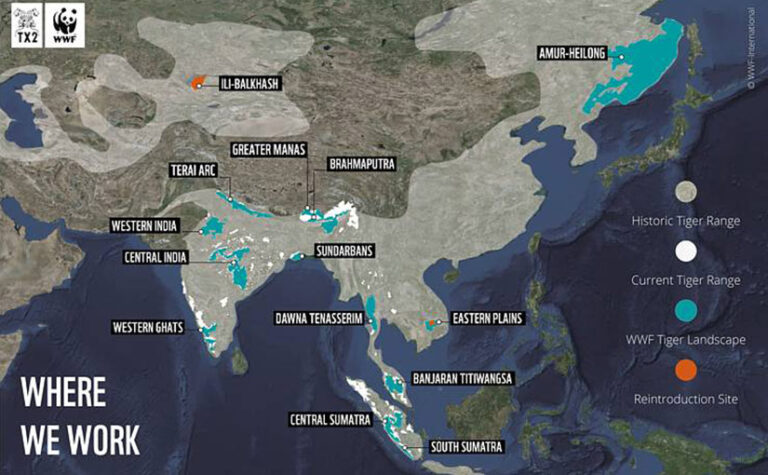 Conservation Story 14: Learnings from Over 100 Tiger Conservation Areas