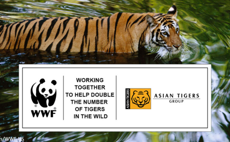 Double Wild Tigers by 2022 with Everyone's Help