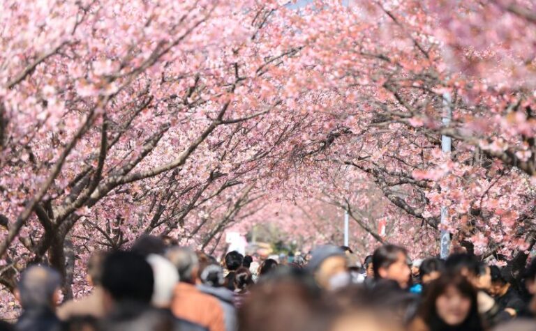 spring in asia