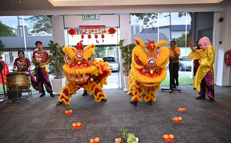 year of the wood dragon asian tigers malaysia