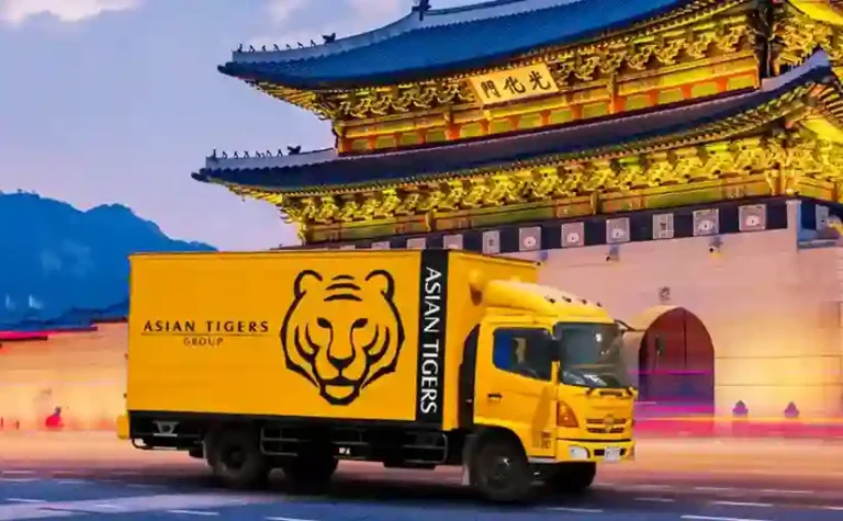 What to look for in a professional mover to make your international relocation seamless.