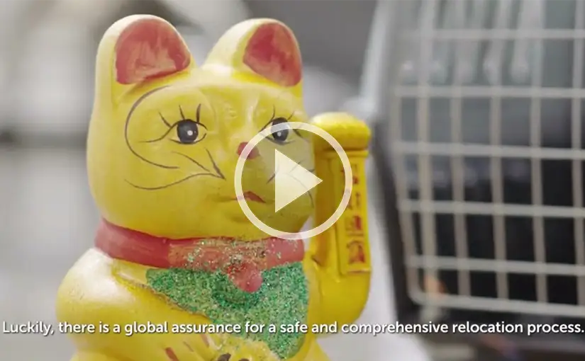 Asian Tigers Hong Kong is proud to announce that it has achieved Top Performer status in its recent FAIM certification audit for 2026